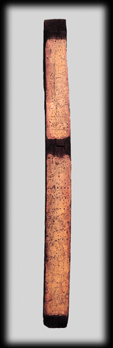Polychromatic  Wood - cm 189 x 14